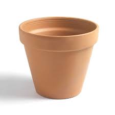 Delivery is to uk mainland only excluding scottish highlands and islands, isle of wight, isle of man where additional charges apply. Buy Classic Terracotta Pot Delivery By Crocus