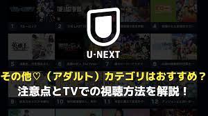 U-NEXT（ユーネクスト）その他♡（アダルト）はどこ？おすすめポイント・TVの設定手順・注意点を解説！ - エンタメLOVE