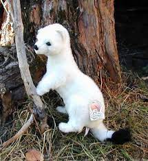Animal Meme Animals Pet Toys Animal Plush Toys