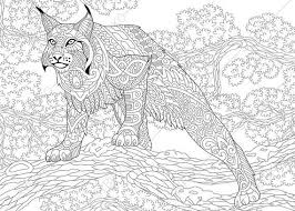 T is for tiger coloring page. Pin On Licornes