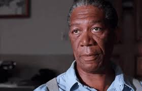 Shattered Vows by Shain Rose