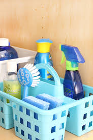 how to organize under the kitchen sink