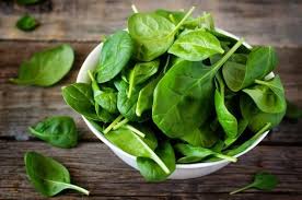 Check spelling or type a new query. How To Grow Spinach Indoors And Outdoors Step By Step Guide