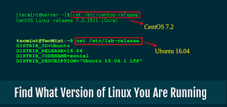 # lvm version lvm version: How To Find Out What Version Of Linux You Are Running