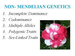 Check spelling or type a new query. Mendelian Genetics Introduction To Genetics And Heredity Gregor