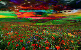 Check spelling or type a new query. Landscape Flower Field Sunset Impressionism Digital Art By Mary Clanahan