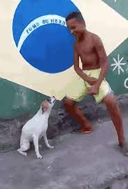 Brazil Dog Gifs Get The Best Gif On Giphy