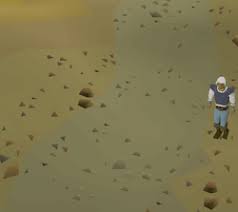 Whether you are having a problem with termites, cockroaches, ants, or insects, we offer a wide range of solutions to get to the root of the problem and. Dwarf Multicannon Osrs Wiki