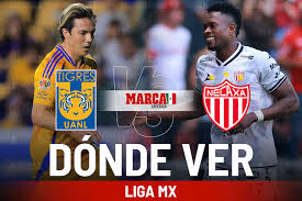 Liga MX 2025: Tigres vs Necaxa: dónde ver la Vuelta Cuartos de Final de  Liga MX y horario del partido hoy | MARCA México
