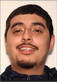 Update: Gwinnett PD seek second suspect in hundreds of entering auto thefts 