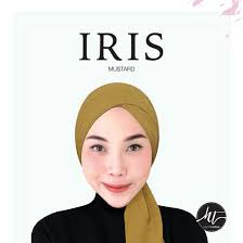 Iris Basics