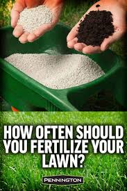 There is no magic number of times to fertilize that will universally apply to everyone. When And How To Fertilize Your Lawn Lawn Fertilizer Diy Lawn Care Grass Care