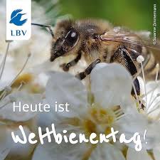 Der weltbienentag 2021 findet am 20 mai weltweit statt hier erfährst du, wie der tag der bienen entstand und warum er wichtig ist. Erstmals Setzen Die Vereinten Nationen In Diesem Jahr Mit Dem Weltbienentag Ein Internationales Zeichen Gegen Die Schwindende Instagram Feed Instagram Animals