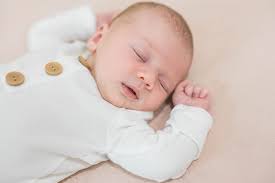 Welcome » Michele Shore Photography