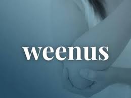 — soleil ho, san francisco chronicle, 28 may 2021 What Does Weenus Mean Slang Definition Of Weenus Merriam Webster