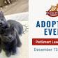 Pet Adoptions at PetSmart Lawrenceville event in Lawrenceville, GA