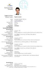 At novorésumé, all our cv templates are in pdf format for several reasons. Curriculum Vitae Europass 2021 Cv Europass Online