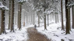 Der april soll sich zunächst ebenfalls alles andere als frühlingshaft zeigen. Erster Schnee In Hessen Der Winter Klopft An Hessenschau De Panorama