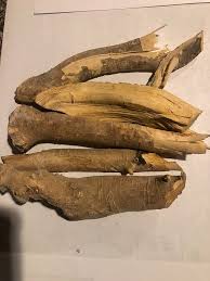 Image result for Carpolobia