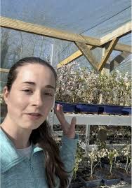 Bonsai Trees: Embrace Nature's Beauty This Season