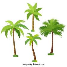 Check spelling or type a new query. Date Palm Images Free Vectors Stock Photos Psd