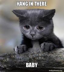 Hang In There Baby Confession Cat Make A Meme