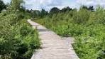 Wandelen in Nationaal Park de Groote Peel en VLAAI! - TikTok