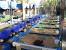 Beginner Aquaponics Diy