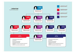 organization chart free vector art 17 403 free downloads