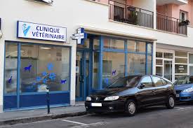 Clinique vétérinaire Brunoy centre