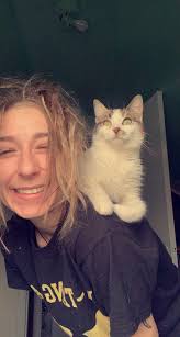 Lost cat Ginger in Springport, MI