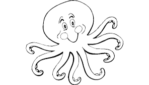 Bauzinho Da Web Bau Da Web Desenhos De Polvo Para Colorir Pintar Imprimir Pintar Moldes E Riscos De Polvo Fundo Do Mar Animais Marinhos