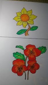 Nama Nabilla Nur Alfiani Kelas C 1 Absen 19 Gambar Flora Media Krayon Ukuran A3 Gambar Flora Dan Fauna Flora Gambar