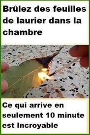 Maybe you would like to learn more about one of these? Brulez Des Feuilles De Laurier Dans La Chambre Et Decouvrez Ce Qui Arrive En Seulement 10 Minutes Incroyable Mais V Herbalism Natural Medicine Health Remedies