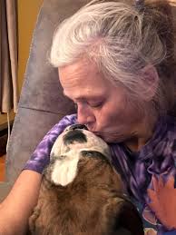 Coping with pet loss and cancer diagnosis