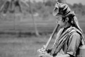 Pada tahun 2013 alat musik sasando sudah terkenal dan ditahun itu juga sudah ditampilkan pada acara wonderful indonesia. Dinno Alshan Saluang Saluang Adalah Alat Musik Facebook