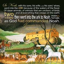 Pin On Y E S H U A J E S U S