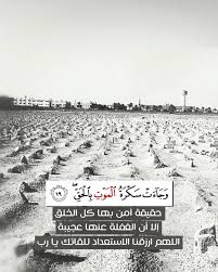 وجاءت سكرت الموت بالحق حقيقة آمن بها كل الخلق إلا أن الغفلة عنها عجيبة اللهم ارزقنا الاستعداد للقائك يا رب quran quotes love quran verses islamic quotes