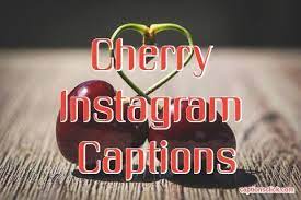 105 Best Cherry Captions For Picture And Post Cherry Blossom Quotes Captions Click
