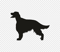 Standard, bronze, silver, gold, and platinum. Dog Silhouette Irish Setter Key Chains Gift Irish Red And White Setter Zazzle Bag Clothing Accessories Irish Setter Setter Key Chains Png Pngwing