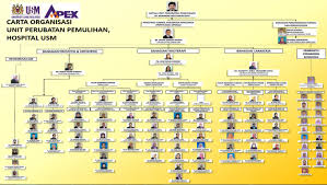 Human resources development act, 1992 was enforced in january 1993 and led to the. Hospital Universiti Sains Malaysia Kubang Kerian Kelantan Surat Rasmi A