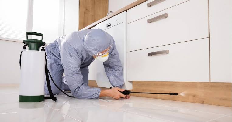 Termite Defense Application