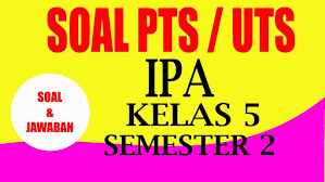 Jul 30, 2018 · soal ukk/pat plh kelas 1 sd dibawah ini adalah contoh soal ulangan kenaikan kelas mata pelajaran plh kelas 1 sd yang terdiri dari 20 soal pilihan ganda dan 10 soal isian singkat. Soal Pas Ukk Pat Uas Plh Kelas 3 Semester 2 Youtube