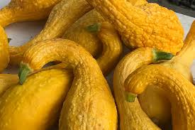 While some varieties are not particularly tasty, and are grown primarily for carving or. 21 Of The Best Summer Squash Varieties Gardener S Path