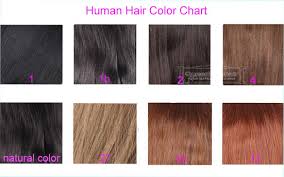 Human Hair Color Chart For Lace Closure Hair Pieces Human