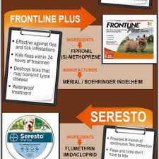 Discount pets & supplies, cape coral, florida. Budgetpetcare Com Get Branded Pet Supplies At Reasonable Rate