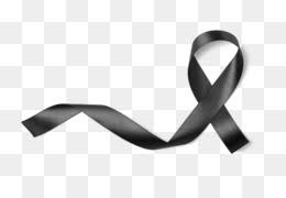The blue represents the 'thin blue line', that defended by police and peace officers to keep separate anarchy from society. Black Ribbon Day