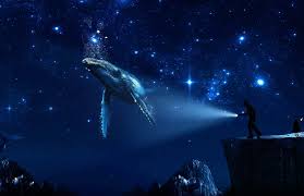 Orcas | shark silhouette, orca, art. Whale Shark Digital Wallpaper Fantasy Art Digital Art Hd Wallpaper Wallpaper Flare
