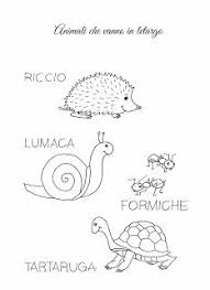 La Maestra Linda Autunno Gli Animali Che Vanno In Letargo Autunno Animali Attivita Autunnali