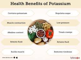 نتیجه جستجوی لغت [potassium] در گوگل